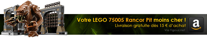 Achetez votre LEGO Star Wars 75005 Rancor Pit moins cher !