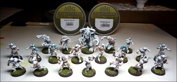 Pose de l'herbe statique sur les socles des CH'NORD Raiders - Équipe Blood Bowl