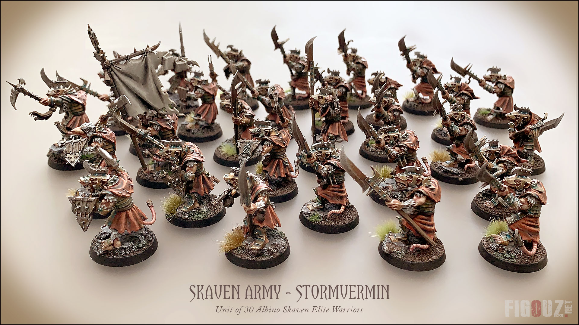 Skaven-Army-Stormvermin-Full-02.jpg